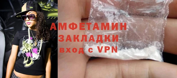 дурь Няндома