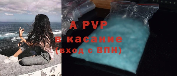 дурь Няндома