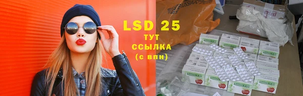 дурь Няндома