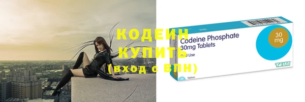дурь Няндома