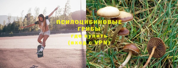 ALPHA PVP Нязепетровск