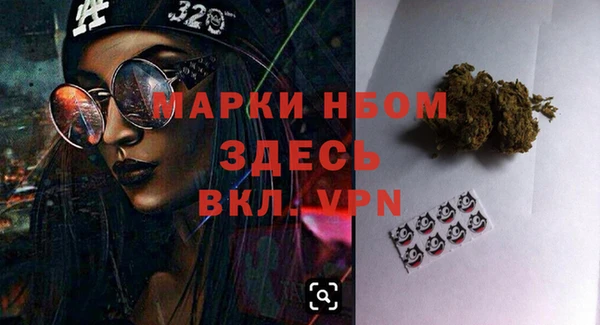 дурь Няндома