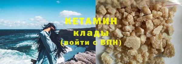 дурь Няндома