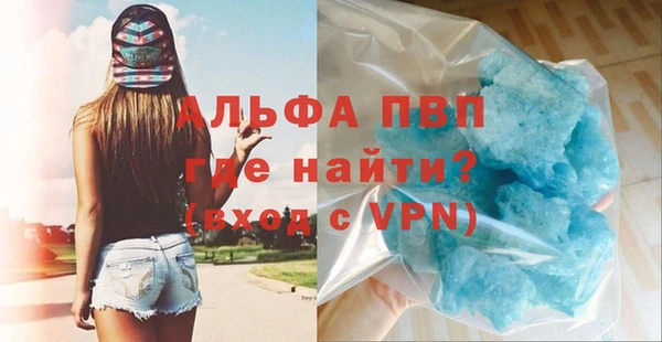 дурь Няндома
