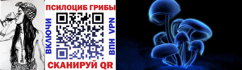 Галлюциногенные грибы Psilocybe  Подпорожье 